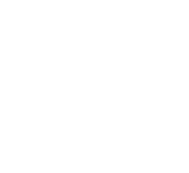 Logo WebFlyBlanco-01